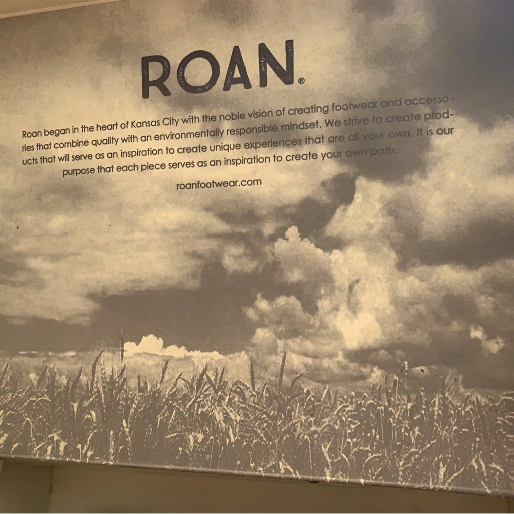Roan Sandals Sz10M NIB